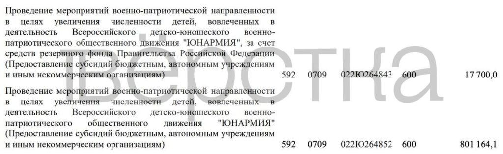 Власти в&nbsp;2025 году потратили рекордные 819 млн рублей на&nbsp;привлечение детей в&nbsp;«Юнармию»