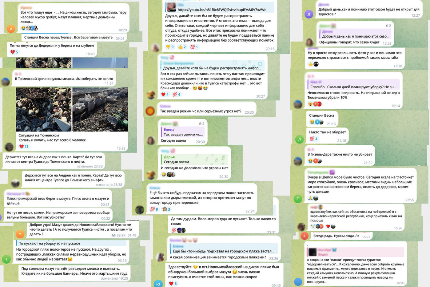 Волонтёры очищали пляжи Туапсе практически без помощи от&nbsp;властей