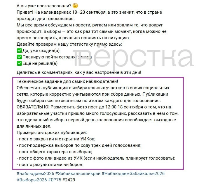 Провластные наблюдатели массово отчитались о&nbsp;«высокой активности» на&nbsp;избирательных участках
